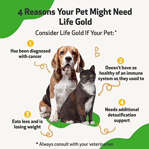 Pet Wellbeing Life Gold for Dogs and Cats - Vet-Formulated - Immune Support and Antioxidant Protection - Natural Herbal Supplement 4 oz (118 ml) - Image 7